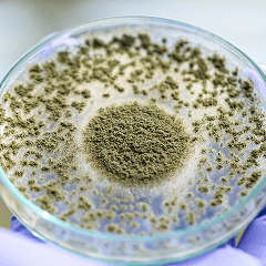 Proteases